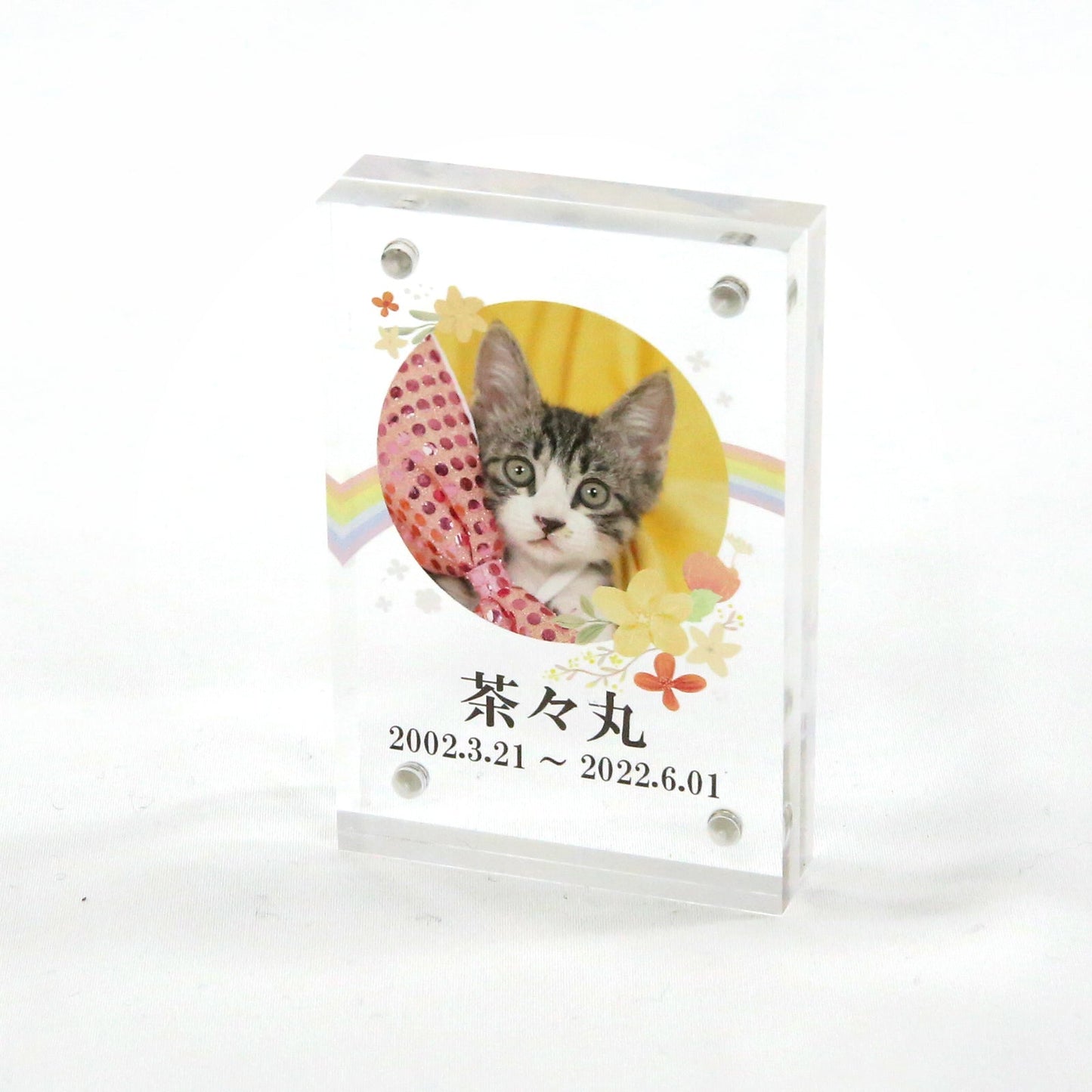 ペット位牌 アクリルスクエア