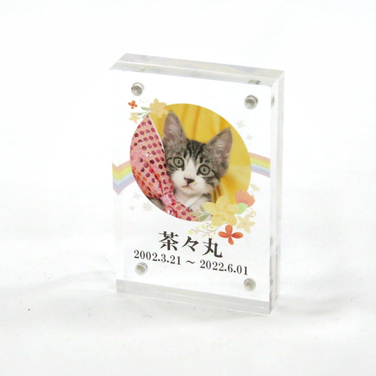 ペット位牌 アクリルスクエア