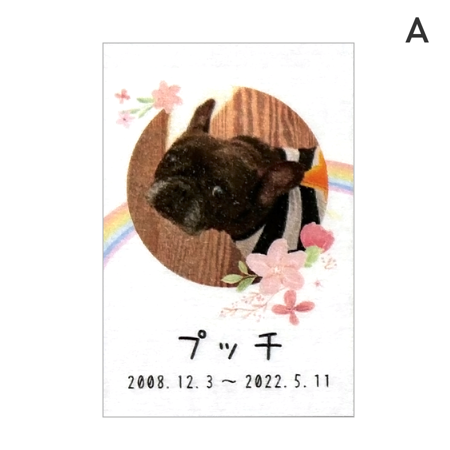 ペット位牌 アクリルスクエア