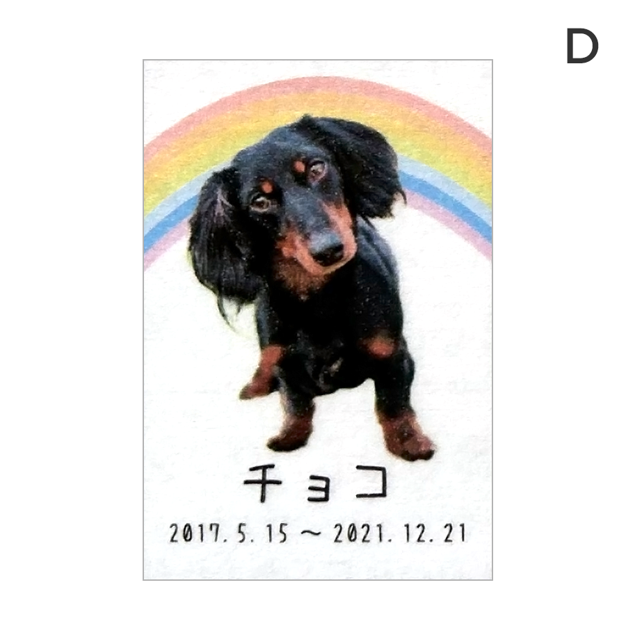 ペット位牌 アクリルスクエア