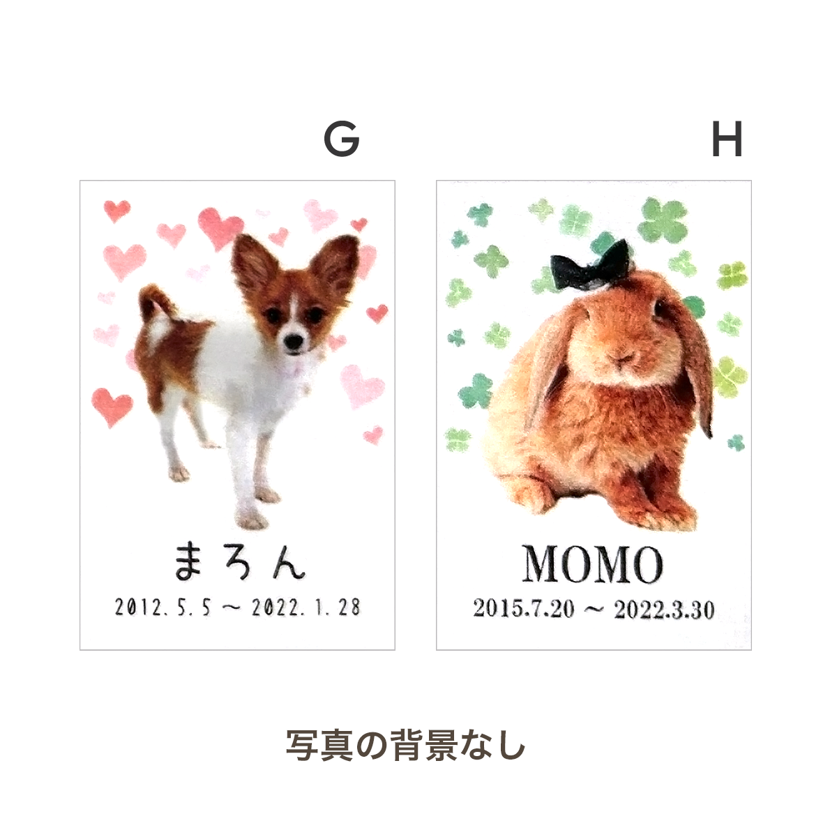 ペット位牌 アクリルスクエア