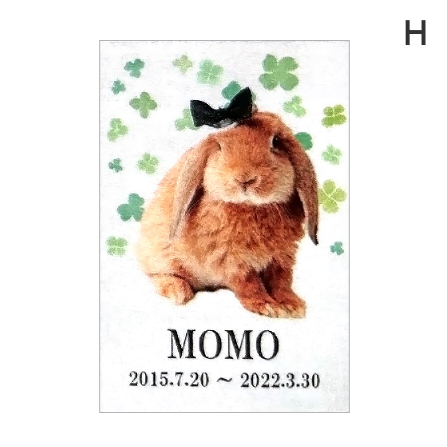 ペット位牌 アクリルスクエア