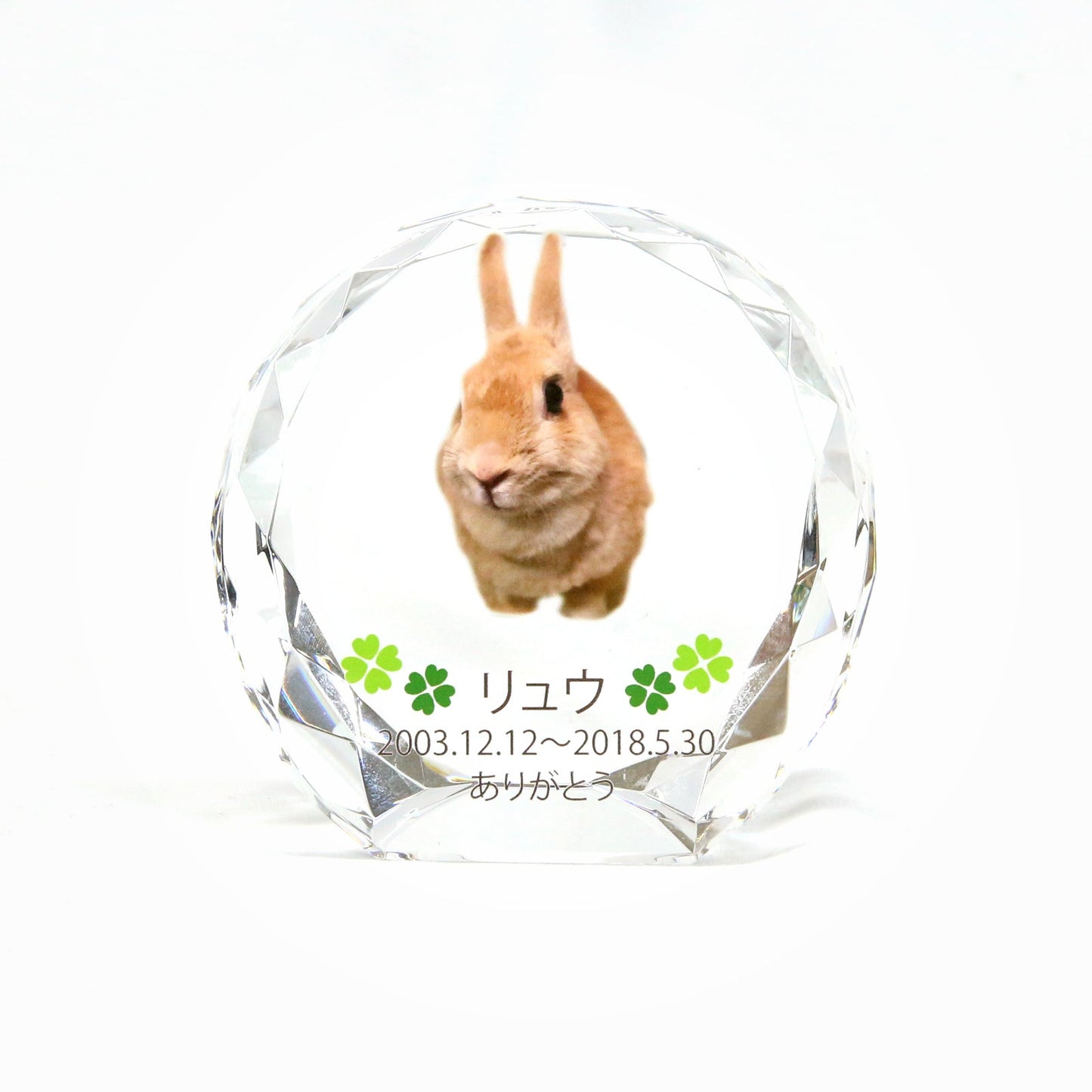 ペット位牌 セレクトクリスタル-ラージ