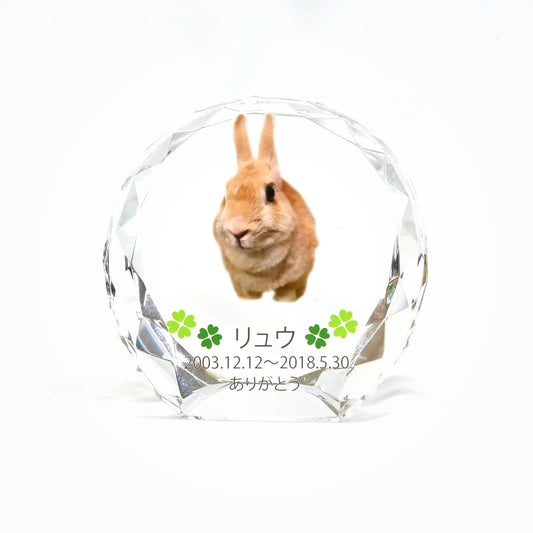 ペット位牌 セレクトクリスタル-ラージ