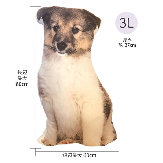 メモリアルクッション