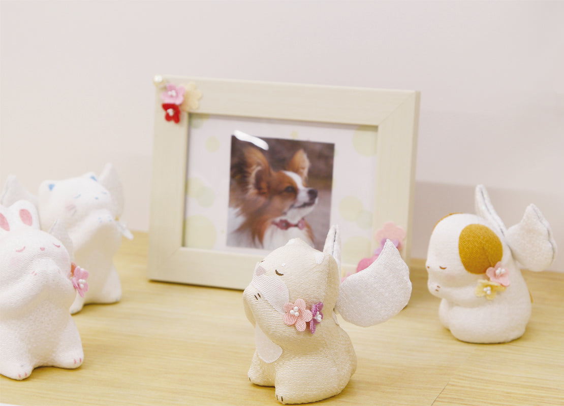 天使の祈り　お祈り天使の子