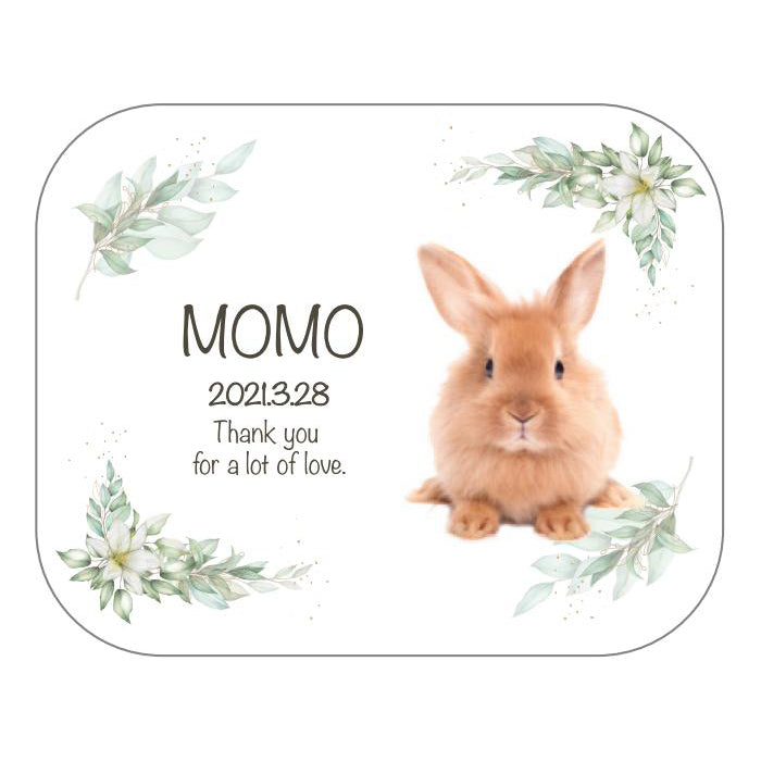 メモリアルアクリル位牌　オーバル型・丸形・四角型