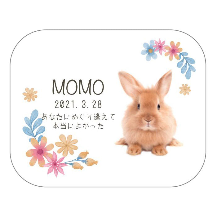 メモリアルアクリル位牌　オーバル型・丸形・四角型